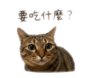 841142559