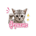 841143306