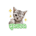 841143311