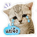 841143314