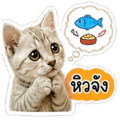 841143329