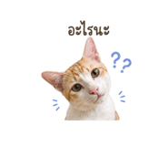 841143591
