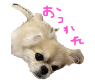 841143810