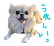 841143813