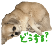 841143814