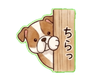 841143967