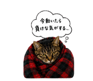 841143979