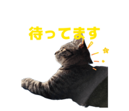 841144410