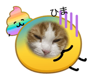 841144458