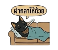 841144491
