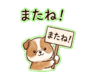 841144553