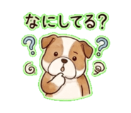 841144554