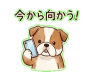 841144555