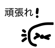 841144646