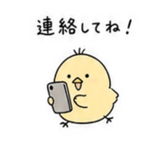 841144875