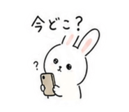 841144884