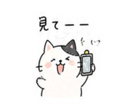 841144893