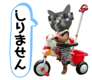 841145232