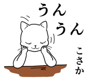 841145579