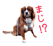 841145711