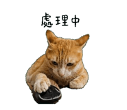 841152771
