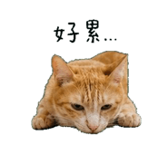 841152773