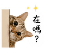 841152814