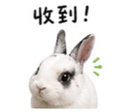 841153119