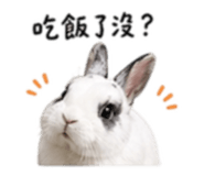 841153127