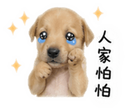 841153331