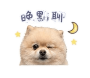 841153690