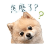 841153717