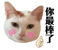 841153848
