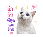 841154412