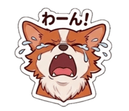 841154433