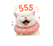 841154442