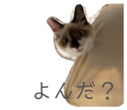 841154753