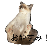 841154759