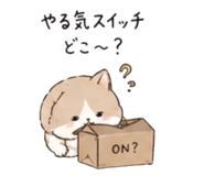 841155095