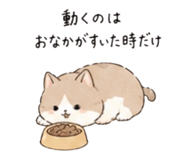 841155113