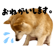841155413