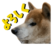 841155414