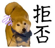 841155418