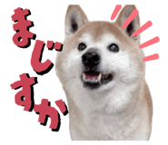 841155421