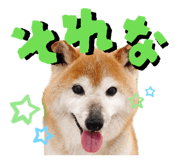 841155424