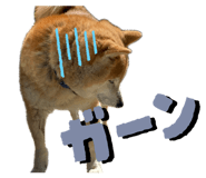841155425