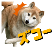 841155426