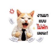 841155476