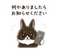 841156425