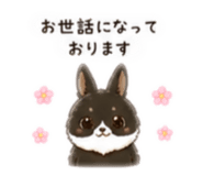 841156429
